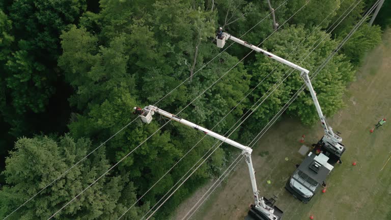 Best Utility Line Clearance  in Wrightstown, WI