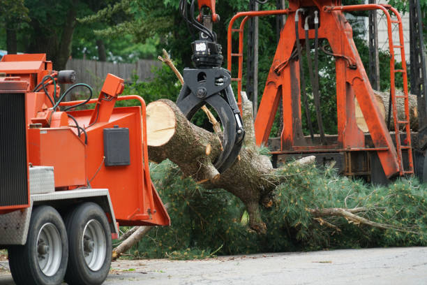 Lawn Watering Services in Wrightstown, WI